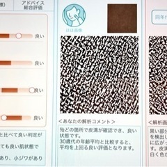 【無料体験】美容 スキンケア 肌測定 カウンセリング 肌悩み相談...