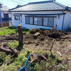 庭木の抜根、整地等　作業致します。