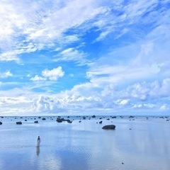 【宮古島市】カメラ好きなひと