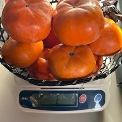 浜松産　次郎柿　2kg以上　8-11個　