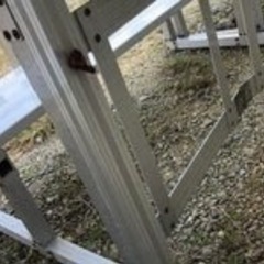 ひな壇　集合写真に　お値下げしました！