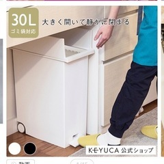 ケユカ ゴミ箱 セット 30L×2