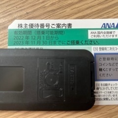 ANA株主優待券　2023-11-30まで搭乗