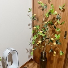 【受渡決定】インテリア　レモンの木+大型花瓶付