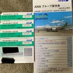 ANA（全日空）株主優待券4枚2024/05/31まで (るき) 茅ヶ崎の飛行機の