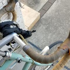 ミニベロ ビアンキ