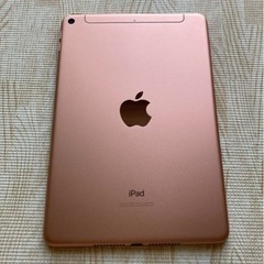 値下げ！【美品】iPad mini5 256GB セルラー＋Ap...