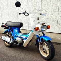 ホンダ シャリー ＣＦ５０ 希少な１２Ｖ・３速ＡＴ オートマチッ...