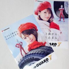 深田恭子😘YOKOHAMA ice GUARD７ クリアファイル...