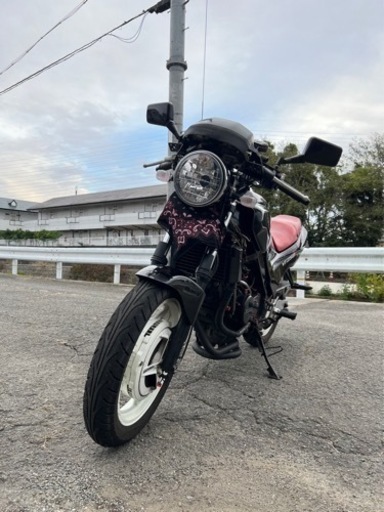 引き取り限定vt250