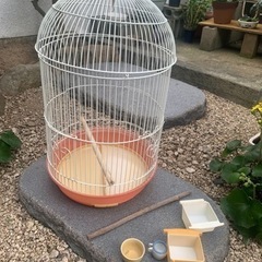 鳥かご