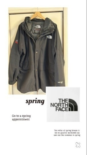 THE NORTH FACE ノースフェイスGORE-TEX マウンテンパーカー