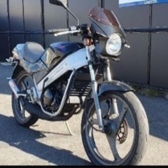 SUZUKI WOLF50 スズキ　ウルフ50