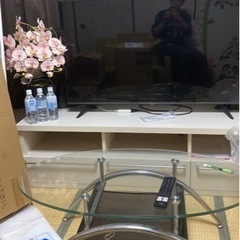 Hisense 50E65G 年製2023: テレビ50インチ+テレビ+胡蝶蘭の造花+