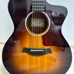 【値下げ】Taylor 214ce  DLX sb エレアコ サ...