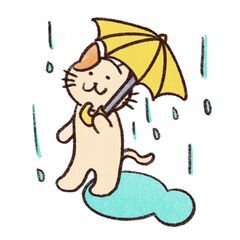 11/17　雨が降ってますが・・・。