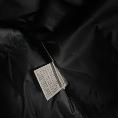 The north face ダウンジャケット