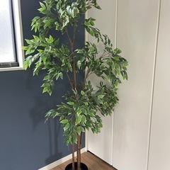 IKEA人工植物【期間限定値下げ中】