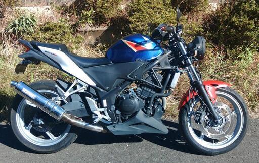 CBR250R　走行12900km　(No.2019)