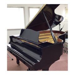 【子ども～大人】ピアノ個人レッスン生徒募集中 - 音楽