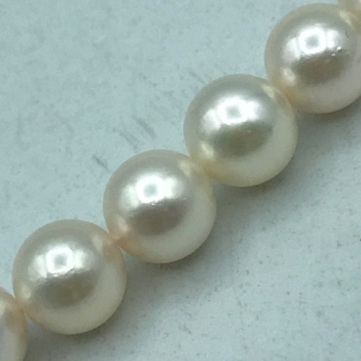 m1117505 MIKIMOTO ミキモト ジュエリー 真珠 留め具シルバー パール  