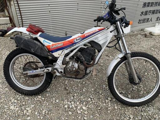 長崎発 ホンダ HONDA オフロード TLR250R 実働車 MD18 書類なし