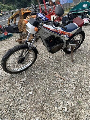 長崎発 ホンダ HONDA オフロード TLR250R 実働車 MD18 書類なし