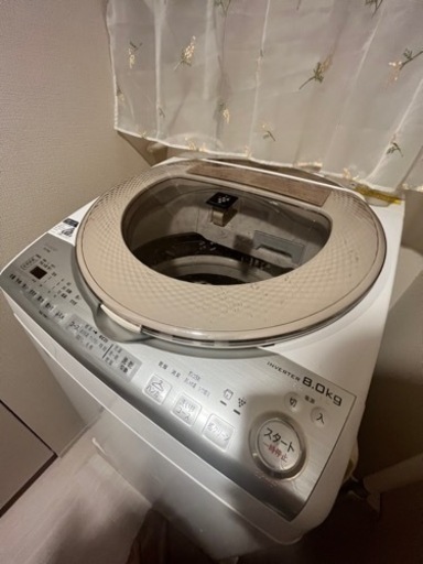 美品【ヤマダ電機 保証付き】縦型洗濯乾燥機 SHARP 8kg