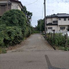 【鎌ケ谷市貸し土地】資材置き場☘️家庭菜園に☘️の画像