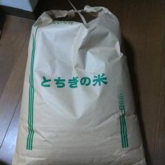 令和５年栃木県佐野市産 お米 玄米 ２０キロ  ②