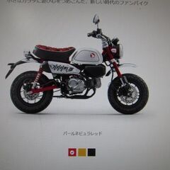 本日入荷！値下げ！入手困難？１台限り！最新型２０２３モデル貴重な...