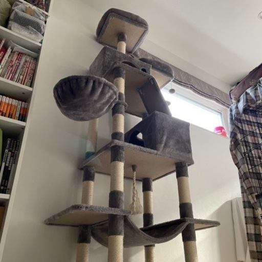 キャットタワー