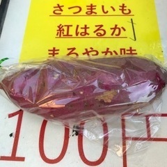 さつまいも　紅はるか1　新物 農家直送 5kg  紅はるか 