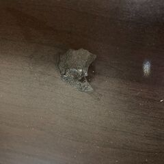 【愛品館 市原店】サータ｜ペディック83DX5.8｜跳ね上げ式ダブルベッド