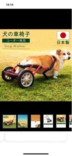 コーギー専用車椅子