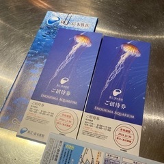 本日お渡し可　新江ノ島水族館　えのすい　チケット　招待券　ペア　2枚