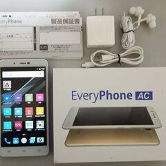Every Phone AC Gold EP-171AC/G S...