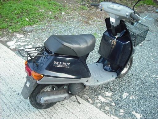 コレクター向け YAMAHA Mint ヤマハ ミント (1YU)  ・ネイビー コレクター向け YAMAHA Mint ヤマハ ミント (1YU) ・ネイビー