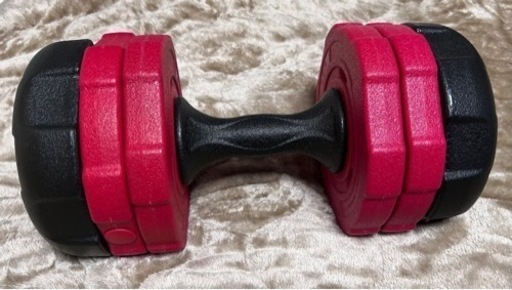 ダンベル 片方最大8.8kg 2つ