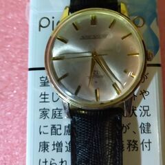 【ネット決済・配送可】セイコースカイライナー21石手巻き腕時計
