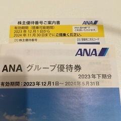 【ネット決済・配送可】ANA株主優待／飛行機／1枚