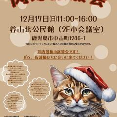 肉球譲渡会🐾保護猫ご縁紡ぎ