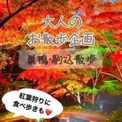 １１月２３ 木曜祝日 大人のお散歩企画❗️🍁紅葉を見に行こう🍁