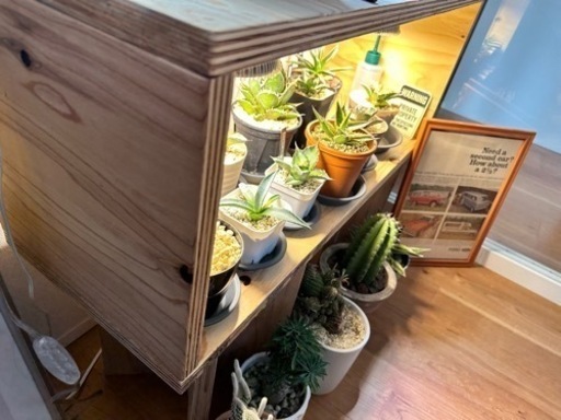 木製植物育成棚