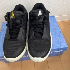 NIKE  JA1 27cm 