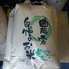令和５年栃木県佐野市産 お米 玄米 １０キロ  ②