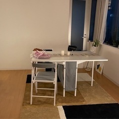 IKEA KALLHALL折りたたみテーブル & FRÖSVIフロースヴィチェア