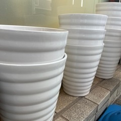 陶器鉢　白　残り4個になりました。