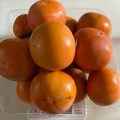 たくさん欲しい方用の柿