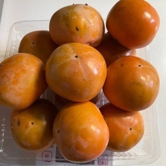 大きめの柿④